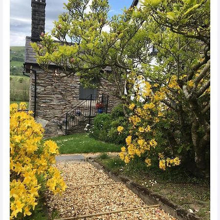 Hares Hideaway At Coed Moelfa Bed & Breakfast Corwen Exterior photo