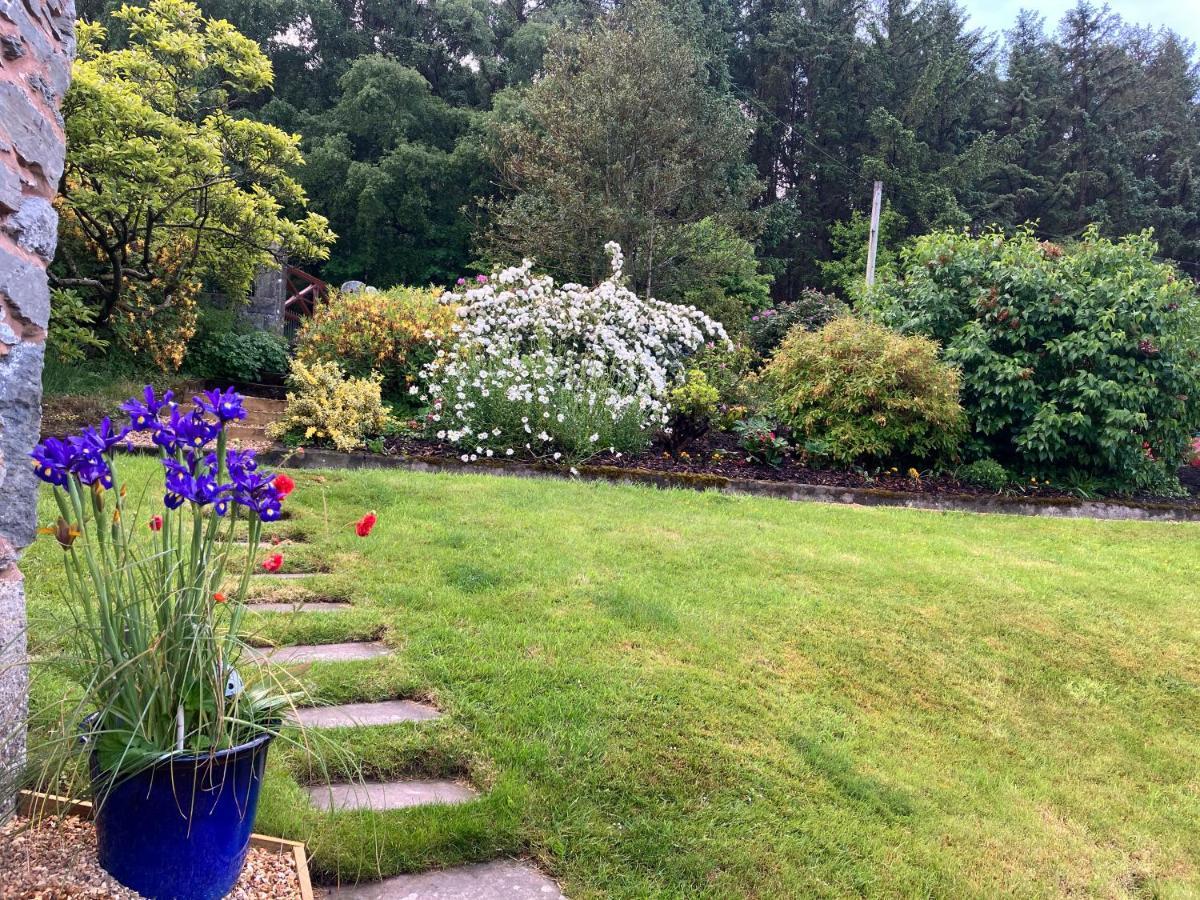 Hares Hideaway At Coed Moelfa Bed & Breakfast Corwen Exterior photo