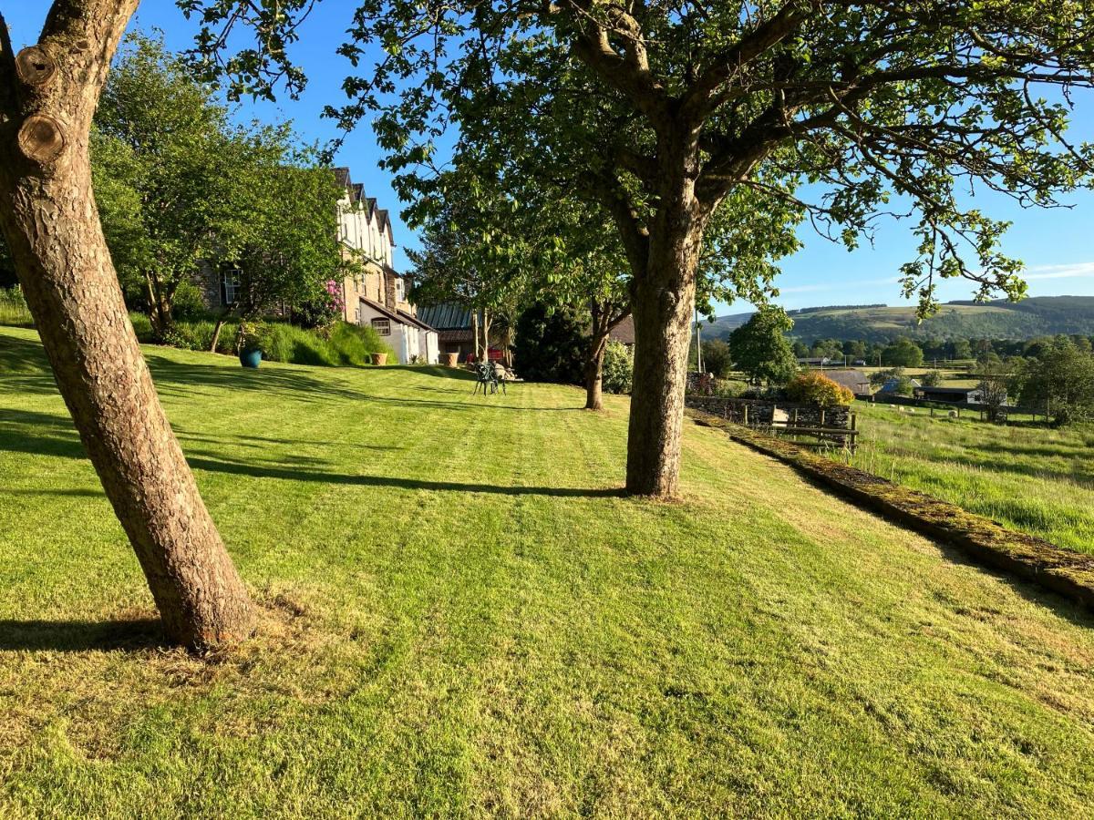 Hares Hideaway At Coed Moelfa Bed & Breakfast Corwen Exterior photo