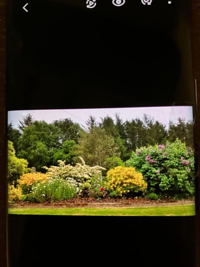 Hares Hideaway At Coed Moelfa Bed & Breakfast Corwen Exterior photo