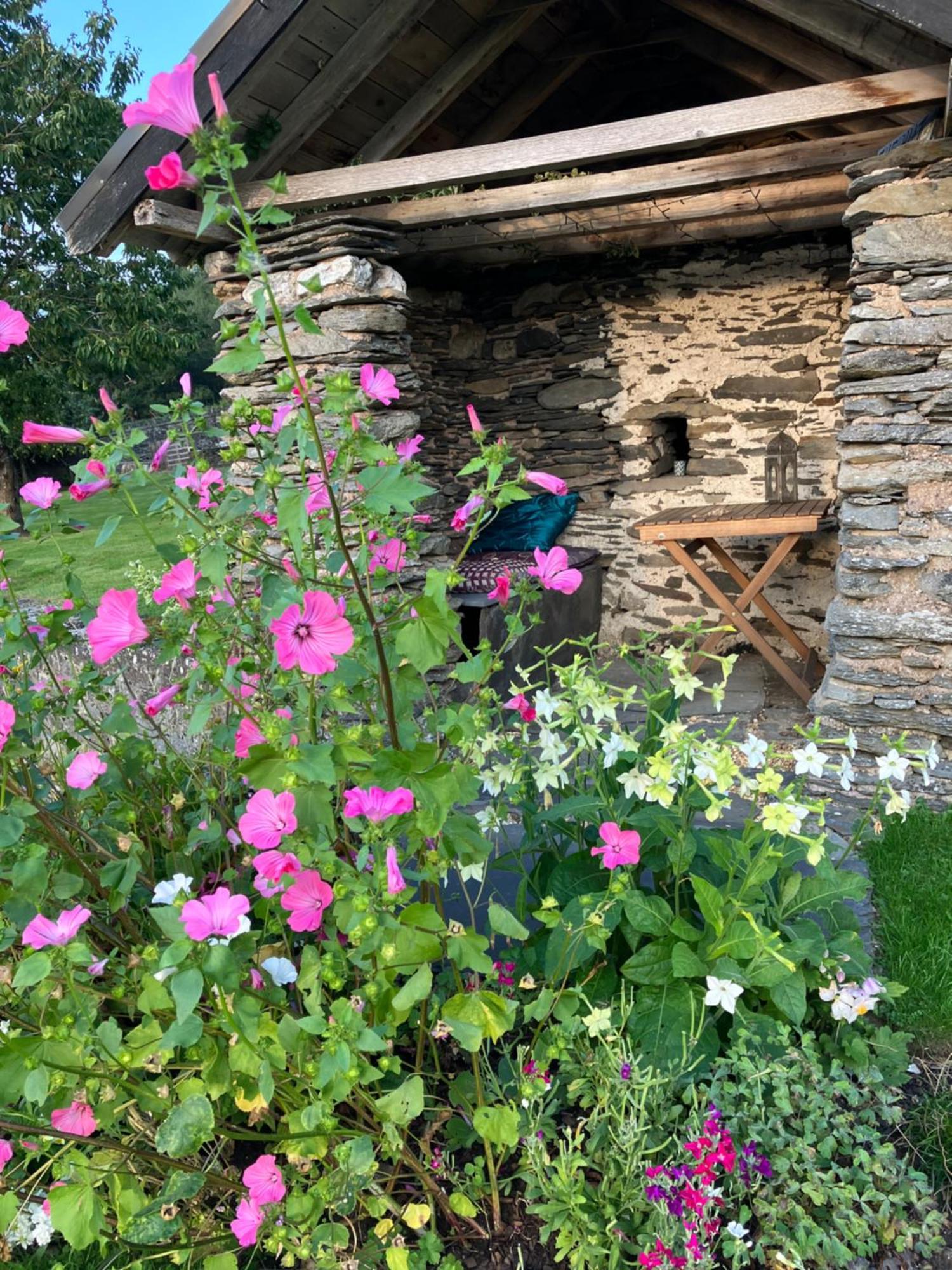 Hares Hideaway At Coed Moelfa Bed & Breakfast Corwen Exterior photo