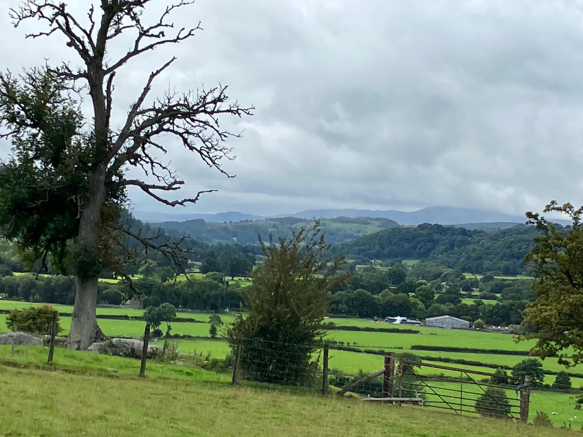 Hares Hideaway At Coed Moelfa Bed & Breakfast Corwen Exterior photo